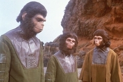 apes-trio2.jpg