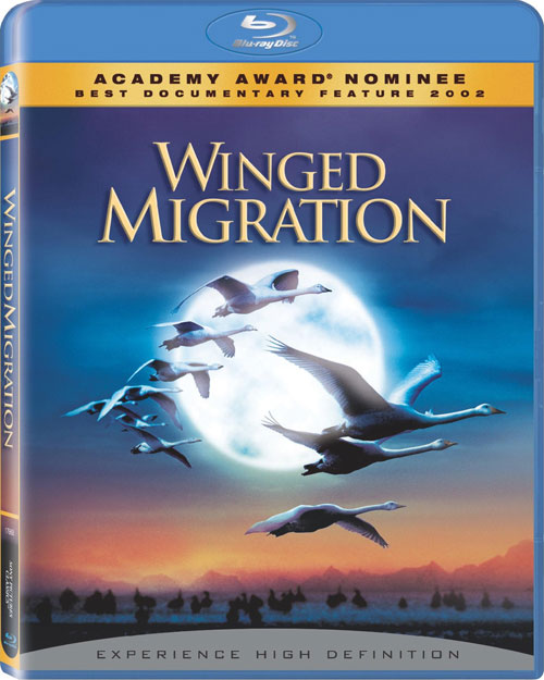winged-migration-bluray-cover.jpg