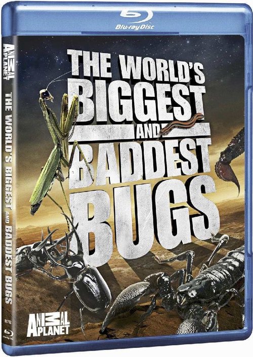 biggestbugsbluray.jpg